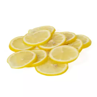 Sammic Compact Seri İçin FCS-6 Dilimleme Diski, 6 mm, 1010540 - 2