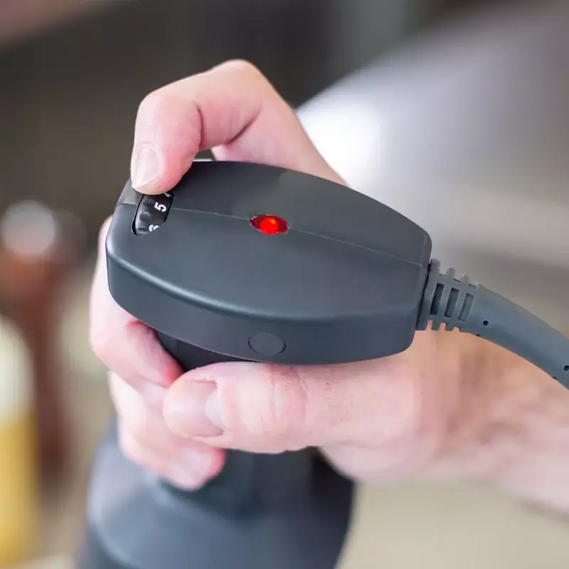 Sammic Combi El Blender Ve Mikseri MB-21, Hız Ayarlı, Kol Uzunluğu 250 mm, Çırpma Uzunluğu 306 mm, 300 W, 3030634 - 2