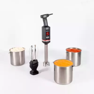 Sammic Combo El Mikseri ve Blenderi MB-31, Kol Uzunluğu 306 mm, Çırpma Uzunluğu 396 mm - 2