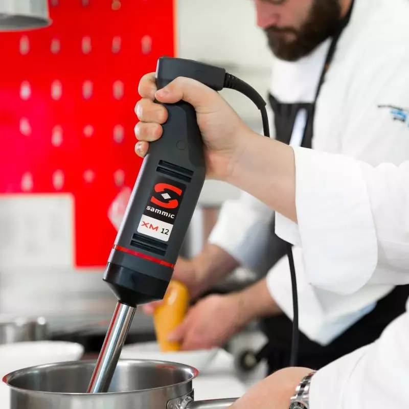 Sammic El Blender XM-12 XSmall, Hız Ayarlı, Kol Uzunluğu 223 mm, 240 W, 3030618 - 2