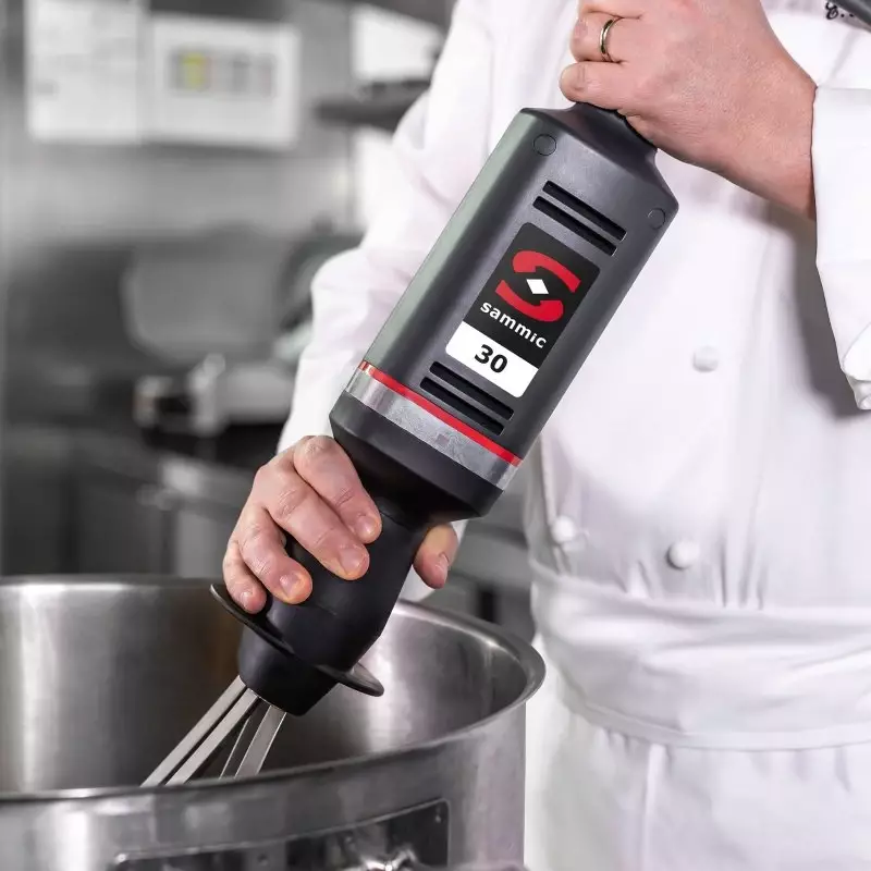 Sammic El Mikseri B-30, Çırpma Uzunluğu 396 mm, 400 W - 2